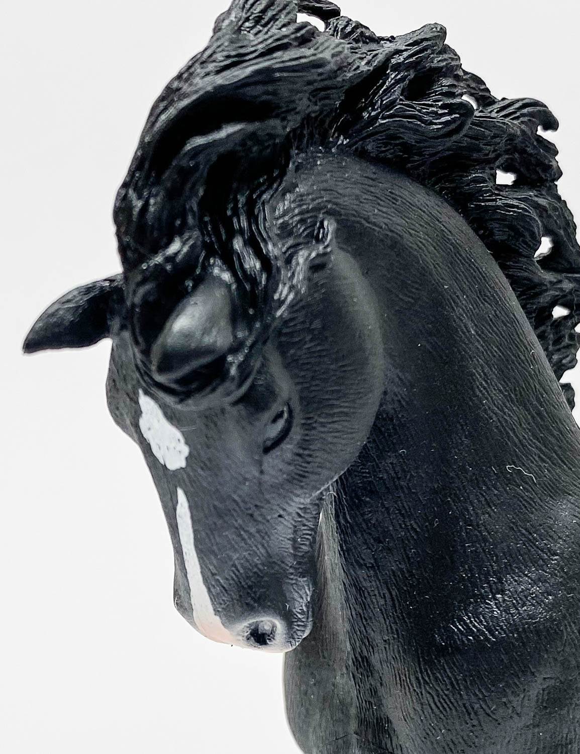 Pura Raza Espaniola Stallion, Black