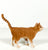 Standing Cat, Ginger
