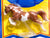 Jumping Warmblood ~ Sport Horse, Chestnut Pinto